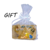 Chanukkah at the Kotel - DIY Menorah Craft Kit for Kids